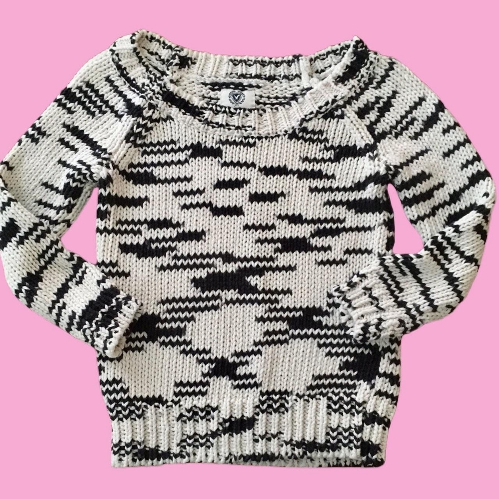 Navy and White Knit AE American Eagle Sweater